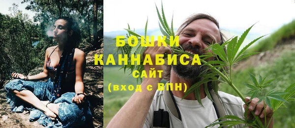 ALPHA PVP Богородск