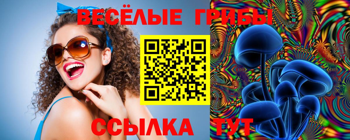 Псилоцибиновые грибы Psilocybe Бор
