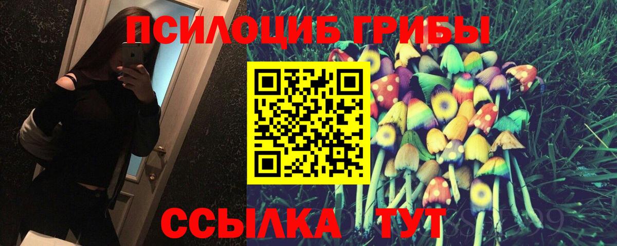Галлюциногенные грибы Cubensis  Вход с VPN  Бор 